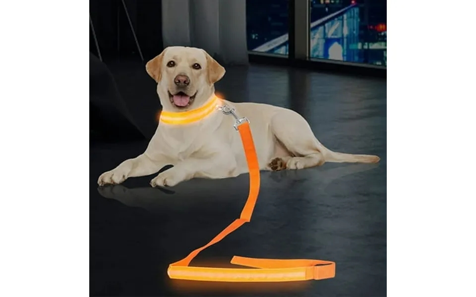 Luxtrada Led Dog Leash Light Up Dog Leash Micro Usb Rechargeable Waterproof Nylon Webbing Glow Safety Standard Dog Leash