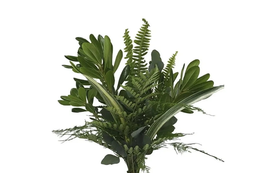 Magnificent Mixed Greens Bouquet 15 Pack Of Farm Direct Fresh Cut Flower Bouquets Of Mixed Greenery By Bloomingmore