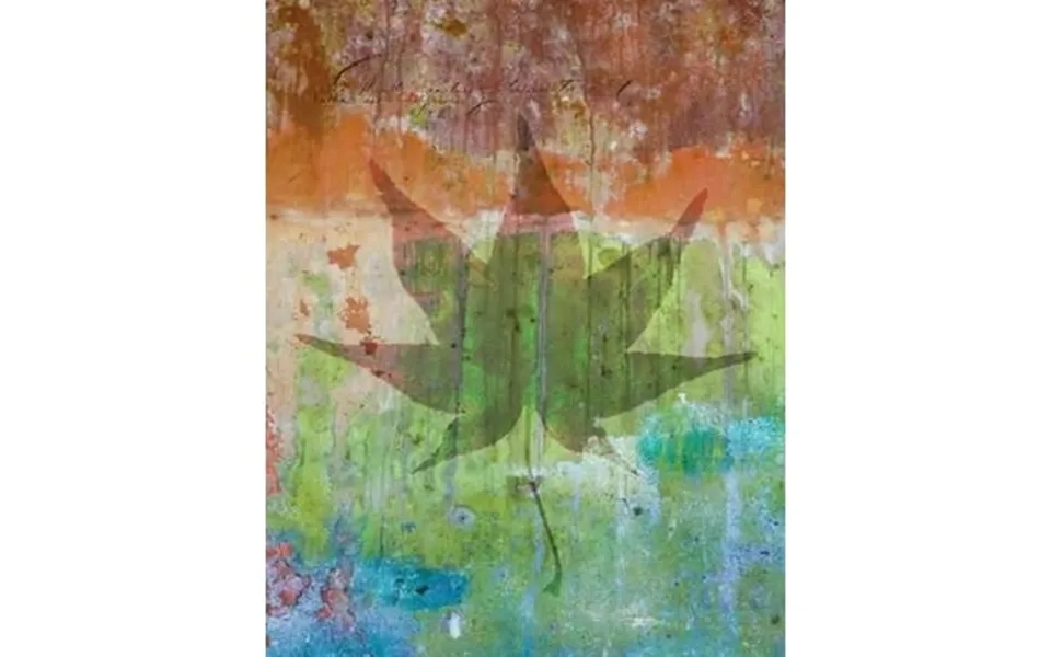 Maple Leaf I Poster Print By Kathy Mahan 24 X 36