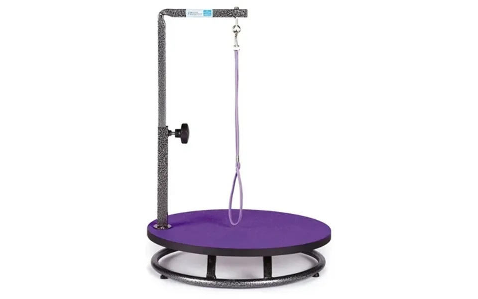 Master Equipment Small Pet Grooming Table Purple