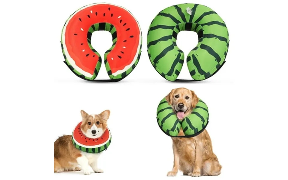 Maxlapter Protective Inflatable Dog Cone After Surgery Xl Size Soft Recovery Dog Cone Collar Waterproof