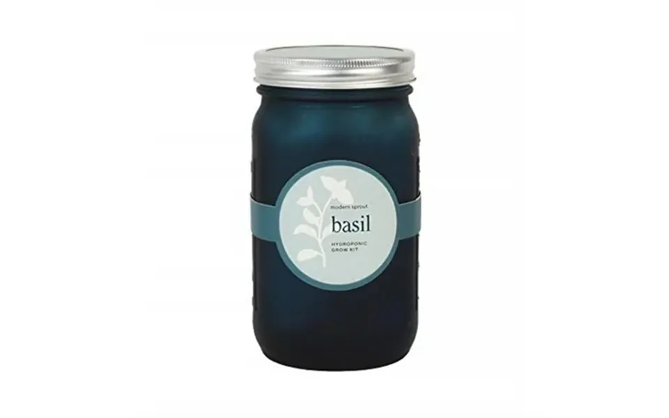 Modern Sprout Basil Grow Kit 1 Pk