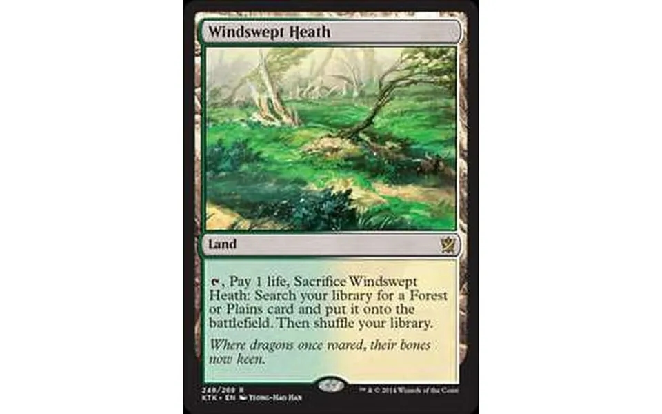 Mtg Khans Of Tarkir Rare Windswept Heath Foil 248