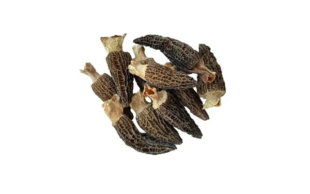 Naturaura - Dried Morel Mushrooms Morchella Conica Fresh Flavor Nutritious Gourmet Morel Mushrooms 3-4inch Size 2 Ounces product image