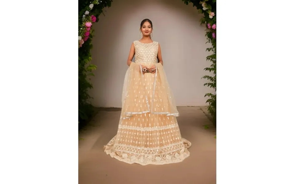 Net Fabric Gown With Sequin Embroidery Work By Shreekama