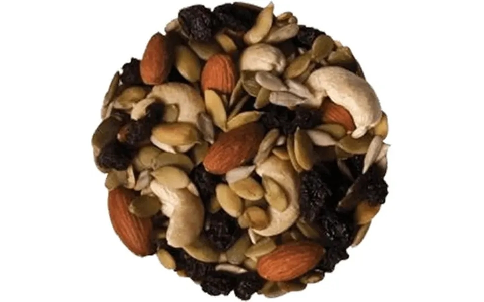 Ny Spice Shop Very Healthy Trail Mix With Mixed Nuts - 1 Pound