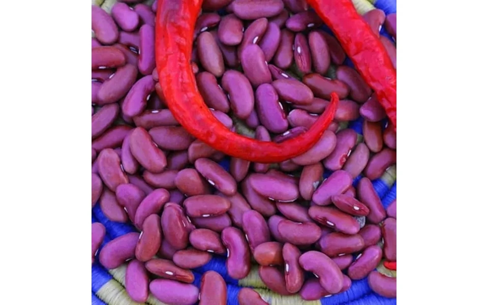 Organic Light Red Kidney Beans - 5 Lb Bulk 7 600 Seeds
