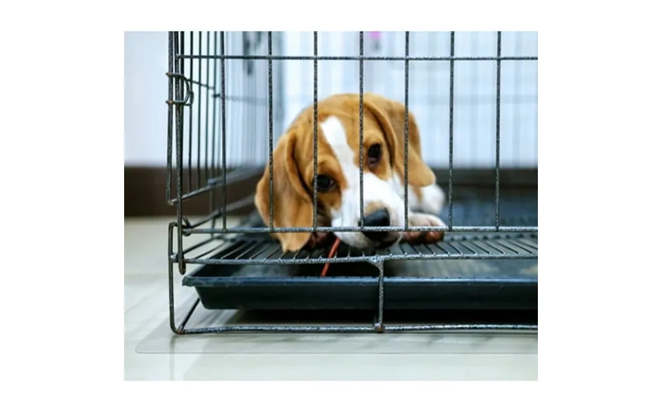 P-tex Polycarbonate Dog Crate Floor Protector - 35 X 47