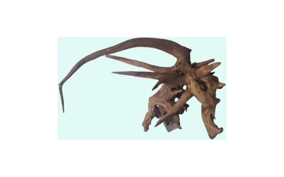 Pacific Wood For Aquascaping Small 6-8 Inches