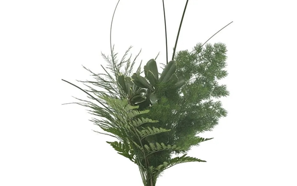 Pastorial Greens Bouquet 15 Pack Of Farm Direct Fresh Cut Flower Bouquets Of Mixed Greenery By Bloomingmore