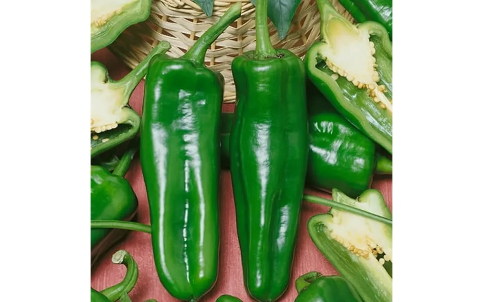 Pepperoncini Pickling F1 Hybrid Sweet Pepper Seeds - 1 Oz 4000 Seeds