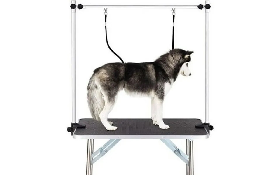 Pet Grooming Table