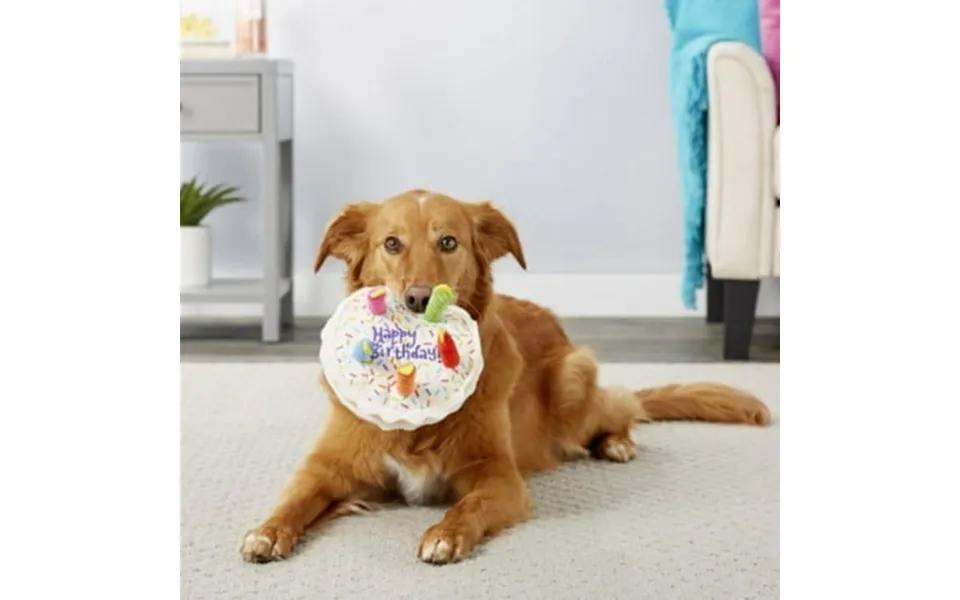 Pet Plush Chew Toy Bite Resistant Squeak Toys Happy Birthday Gift For Small Large Dogs Pet