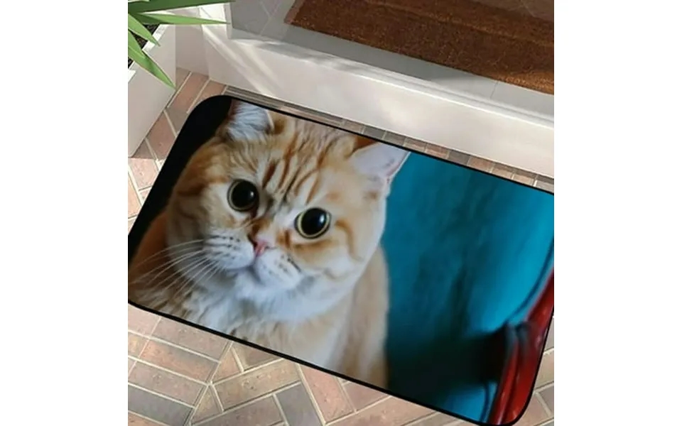 Phyhoo Orange Tabby Cat Bath Rug Non Slip Absorbent Cozy Bathroom Mat For Bath Room Shower Floor Tub 19