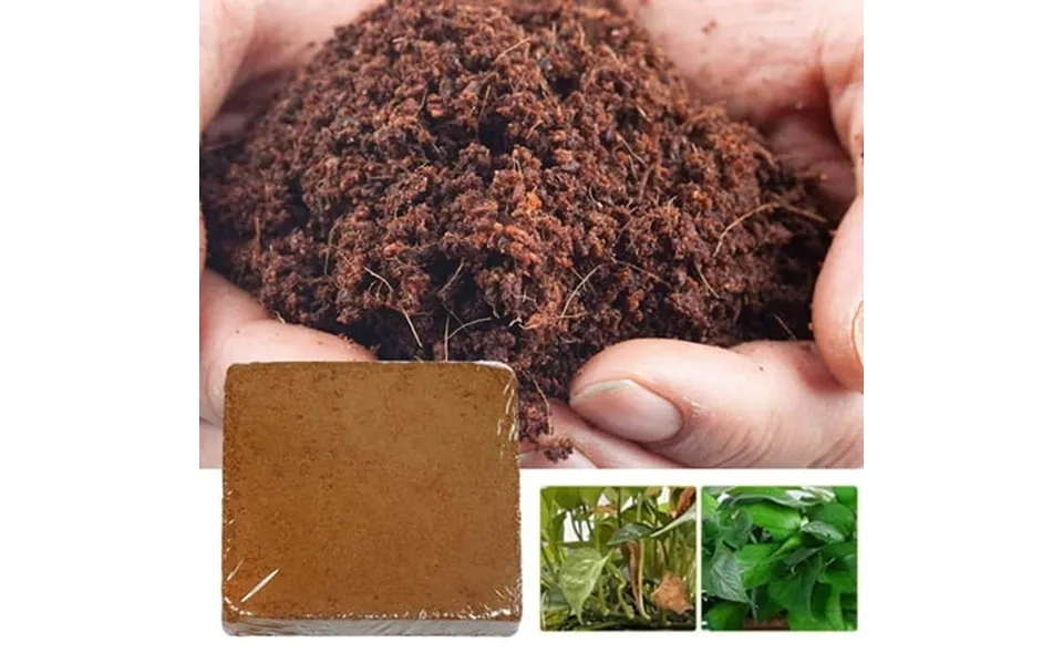 Plant Coir Fiber Bricks Plant Cultivation Growing Nutrient Dirt Potting Grass Flower Fertilizer 3pcs