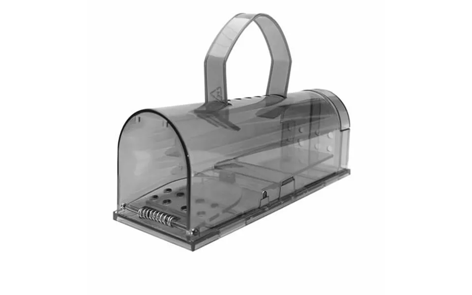 Pompotops Clearance Sales Handheld Mini Celebration Party Party Supplies Paper Handtwisted Spray Tube