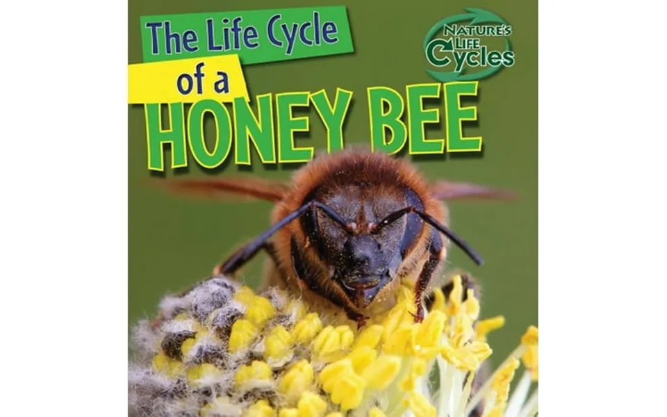 Pre-owned The Life Cycle Of A Honeybee Nature S Life Cycles Paperback