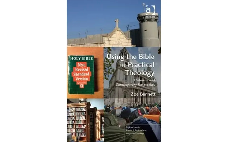 Pre-owned Using The Bible In Practical Theology Historical And Contemporary Perspectives Hardcover 1409437922 9781409437