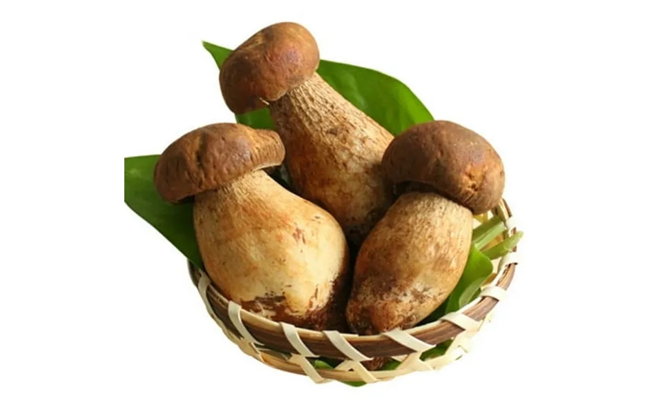 Premium Grade Dried Porcini Mushrooms 4oz