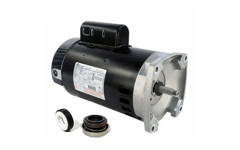 Puri Tech Pool Pump Replacement Kit For Pentair Whisperflo 1