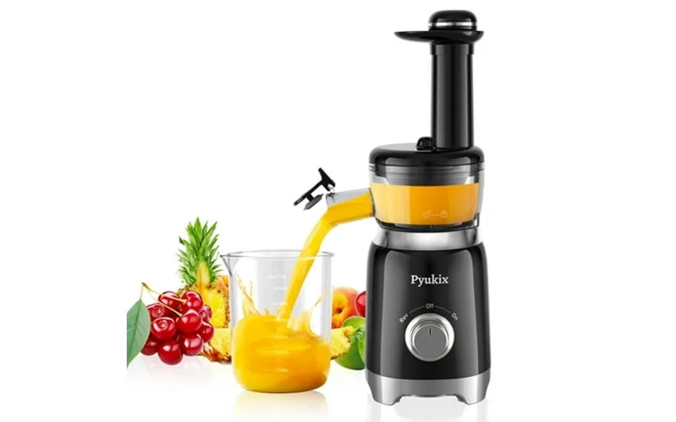 Pyukix Masticating Juicer For Fruits And Vegetables Powerful Small Juicer Extractor Machine Compact
