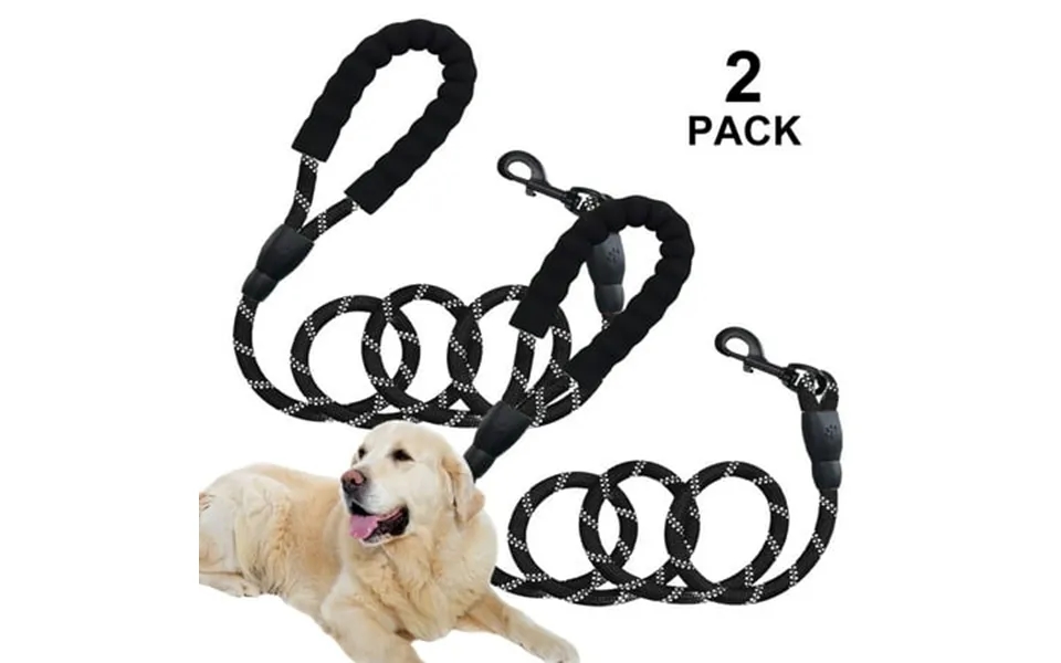 Qishi Reflective Strong Rope Dog Leash With Comfortable Padded Handle Heavy Duty Metal Clasp For Dogs For Pets 5 Ft Blac