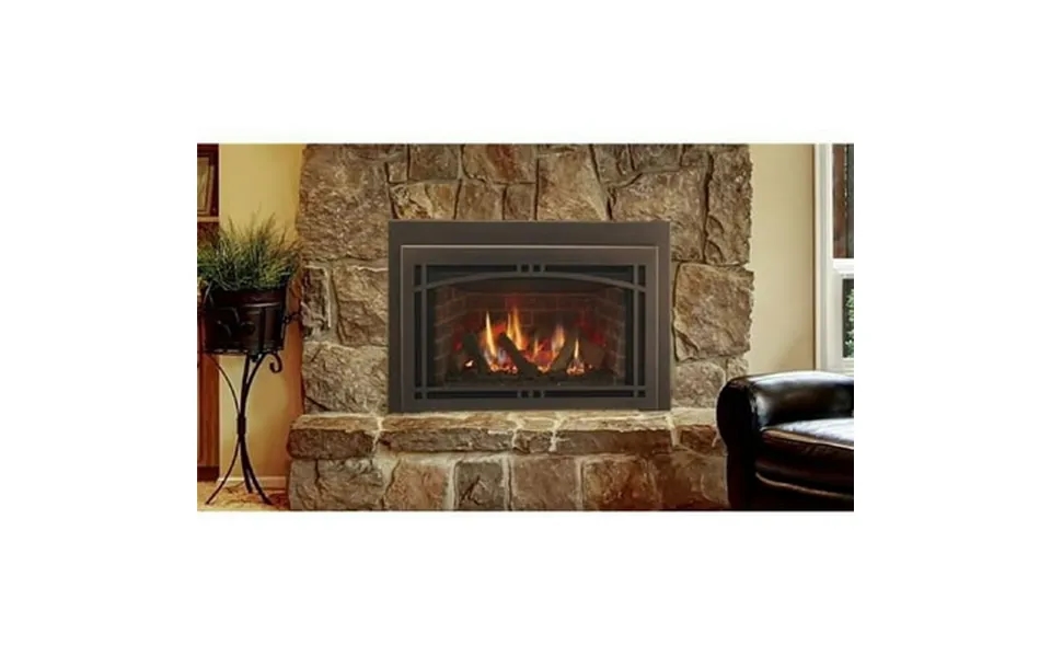 Quartz Quartz42iftl 42 In. Top & Rear Direct Vent Lpg Fireplace With Intellifire Touch Ignition