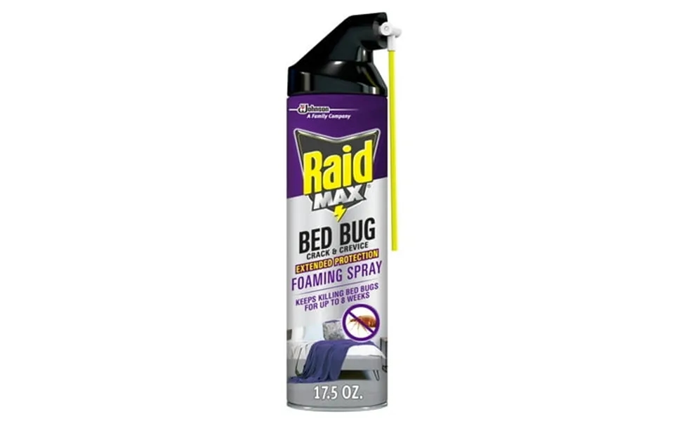 Raid Max Indoor Bed Bug Spray & Flea Insect Killer Extended Protection Foaming Spray 17