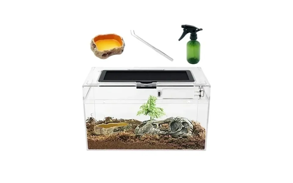 Reptile Terrariums 12 X 7 X 6