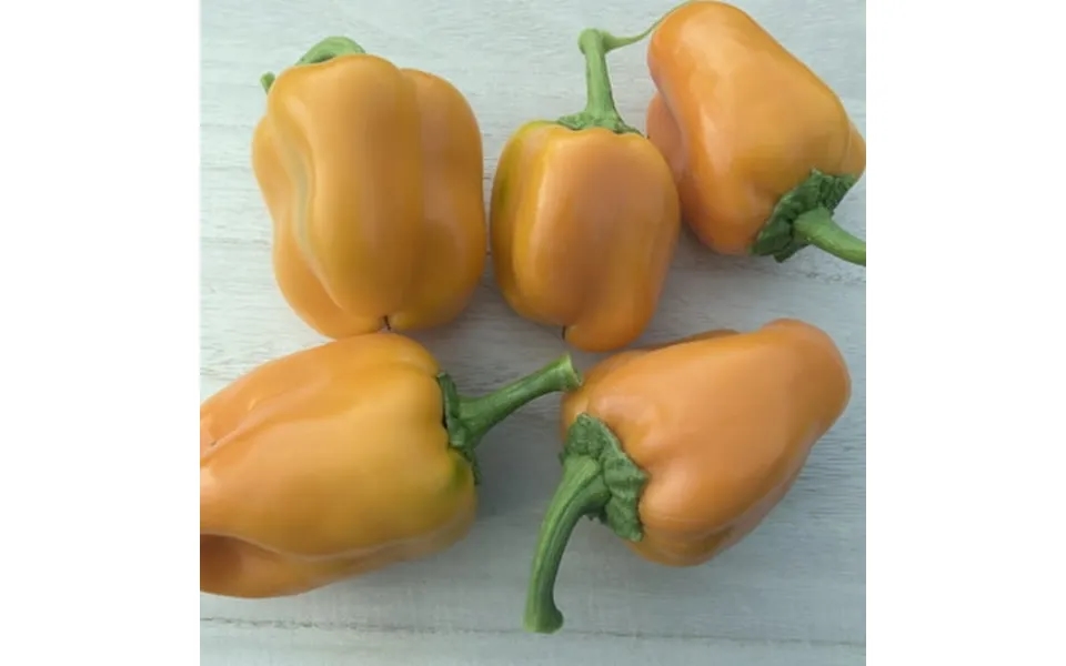 Riesling F1 Hybrid Sweet Pepper Seeds - 4 Oz 16000 Seeds