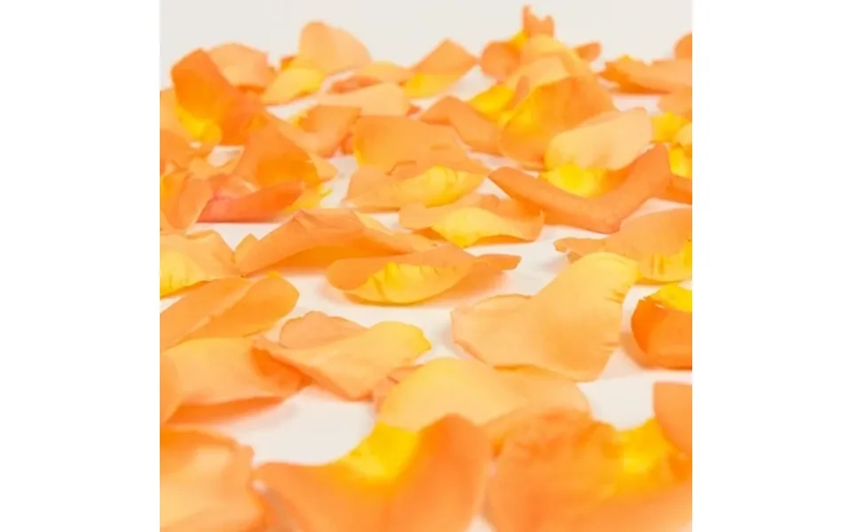 Rose Petals 5 Bags Of Orange Farm Direct Fresh Cut Flowers Petals By Bloomingmore