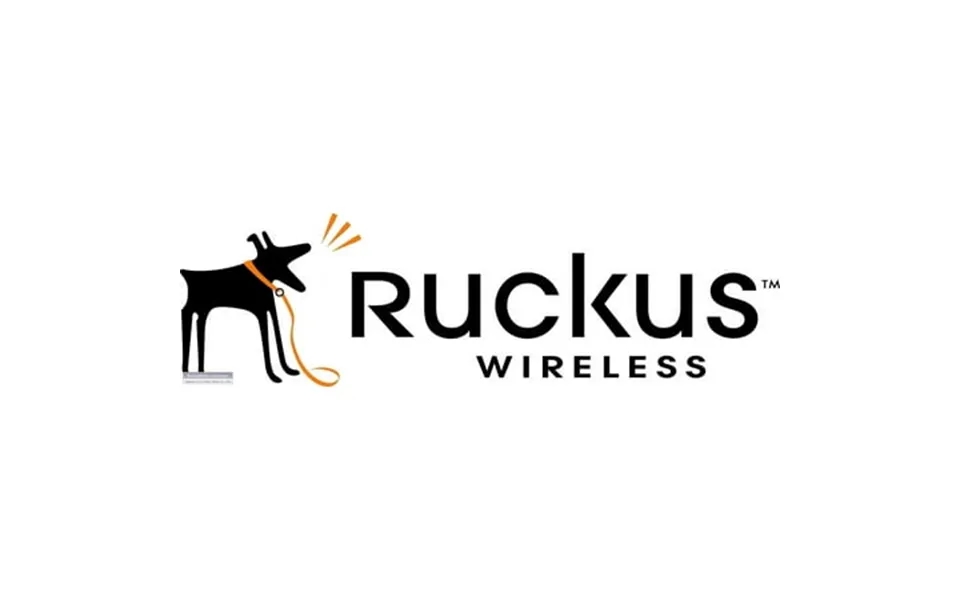 Ruckus Wireless 909-0100-zd00 - Zonedirector 3000 License Upgrade By 100 Aps
