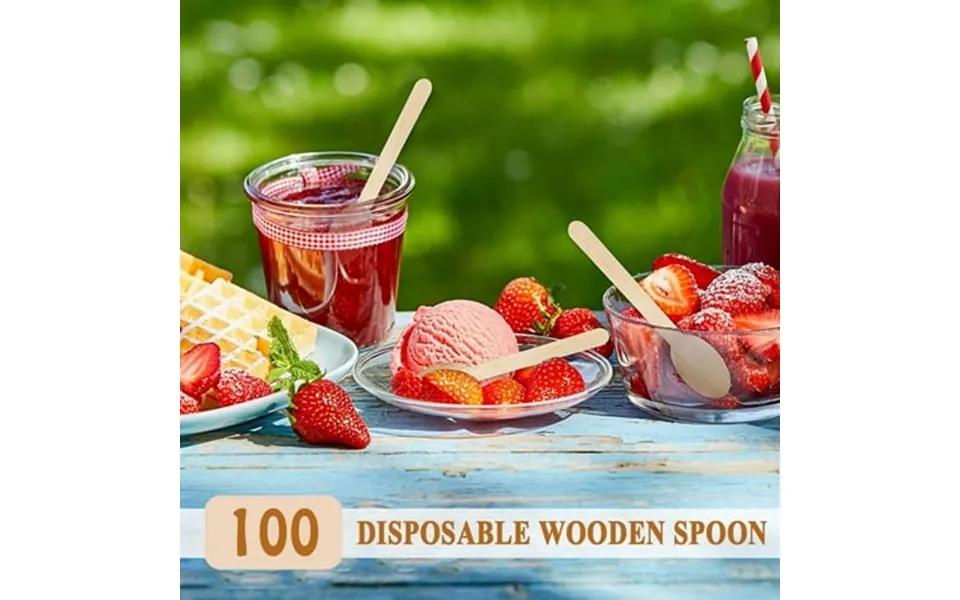 Ruijiao Disposable Wooden Spoons 100 Pack - Eco-friendly Utensils For Parties And Picnics
