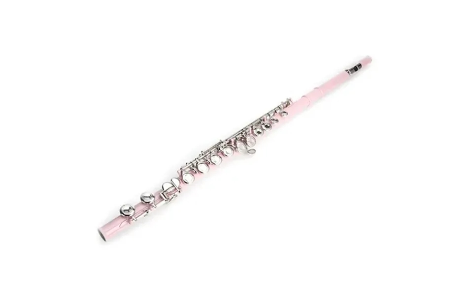 Samyohome Beginner 16-key C Flute For Student School Band Pink