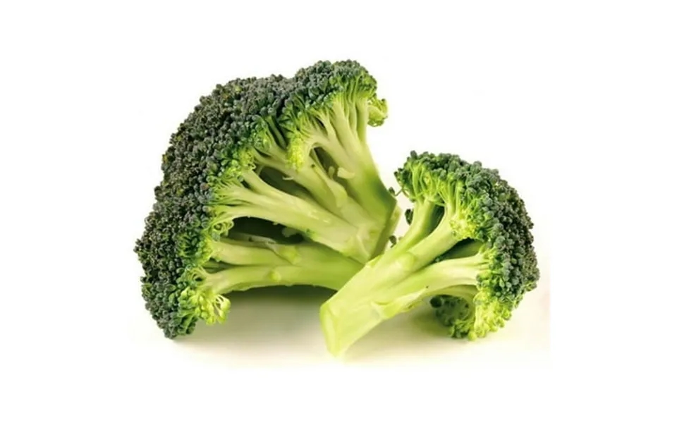 Savor Brands Grade A Broccoli Cuts 20 Pound - 1 Each.