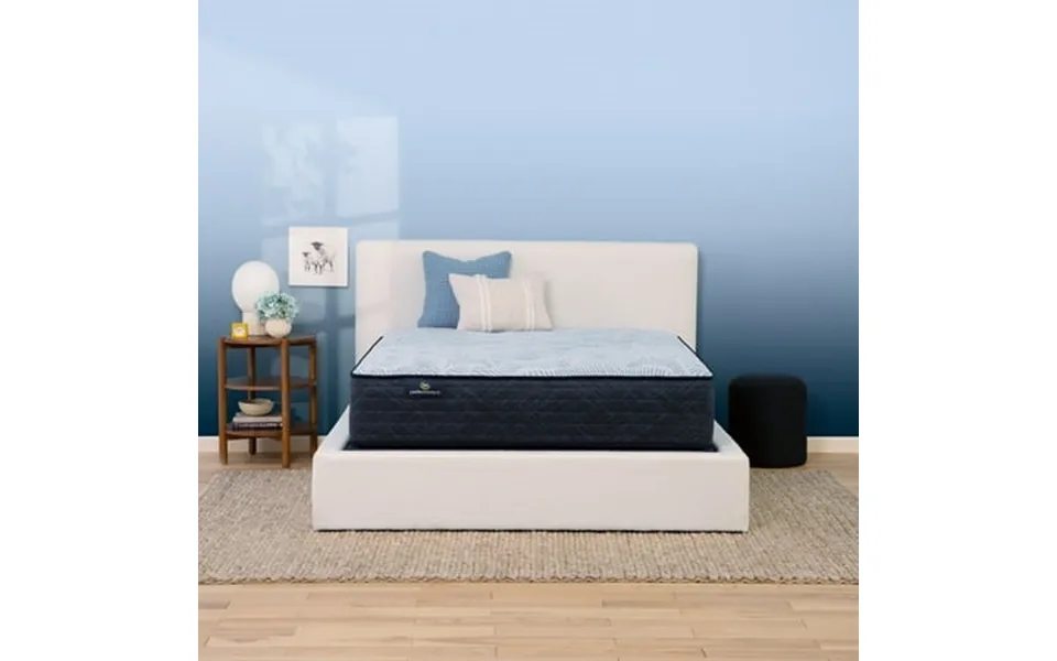 Serta Perfect Sleeper Nurture Night 13.5 Plush Mattress Set -queen