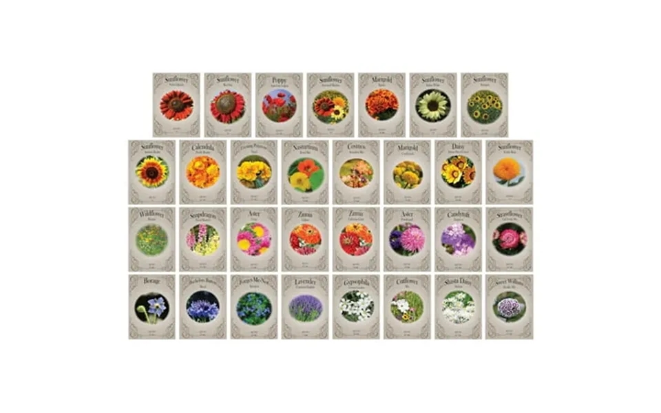 Set Of 31 Premium Variety Flower Itl1 Seed Packets - Heirloom Non-gmo And Proudly Sourced In The Usa 31