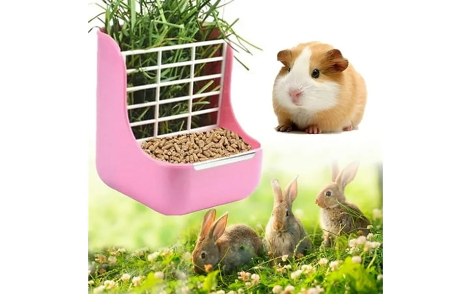 Small Animals Feeder Bunny Feeder Rabbit Guinea Pig Feeder 2 In 1 Food For Guinea Pig Bunny Rabbit Food Feeder Small Ani