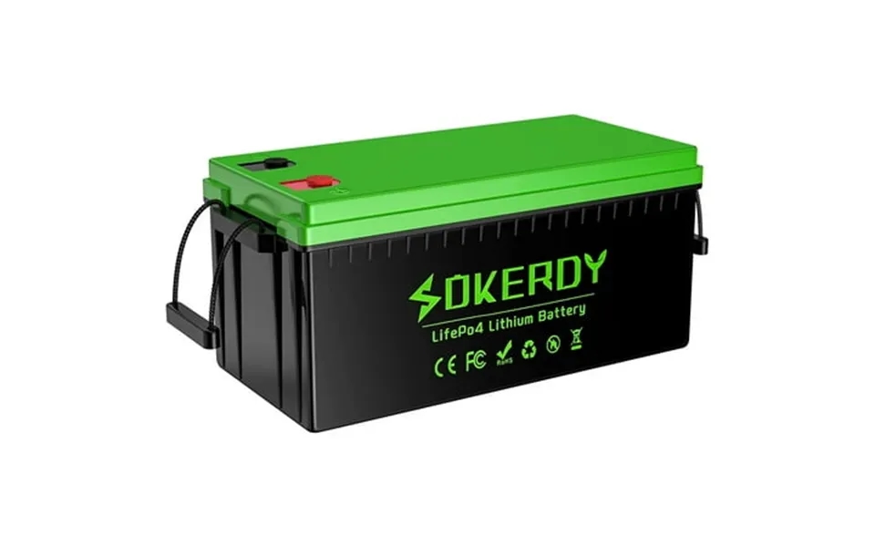 Sokerdy Lithium Iron Phosphate 12.8 Volt Vehicle Battery