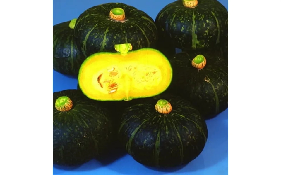 Squash Seeds - Winter