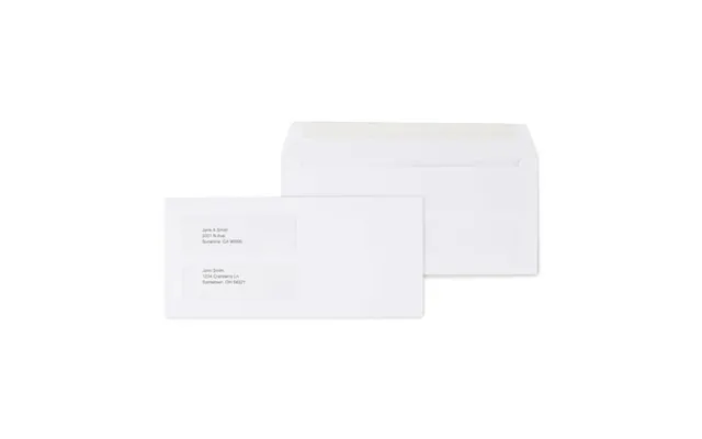 Staples Double-window Gummed Envelopes For Laser Forms 500 Box 473949 19049 product image