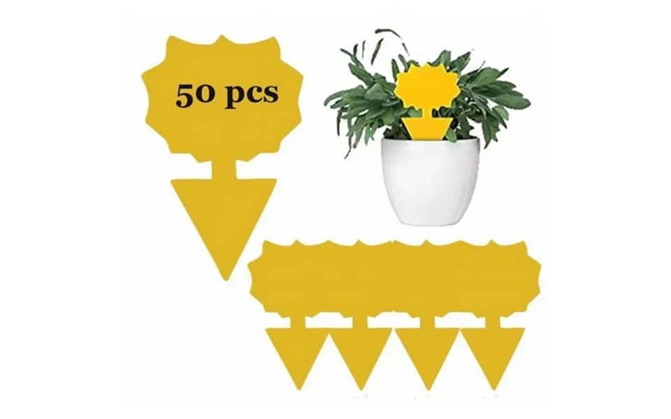 Sticky Traps Plant Trap For Fungus Gnat Fruit Fly Traps For Mosquito And Bug Indoor & Outdoor Pest Insect Catcher Killer