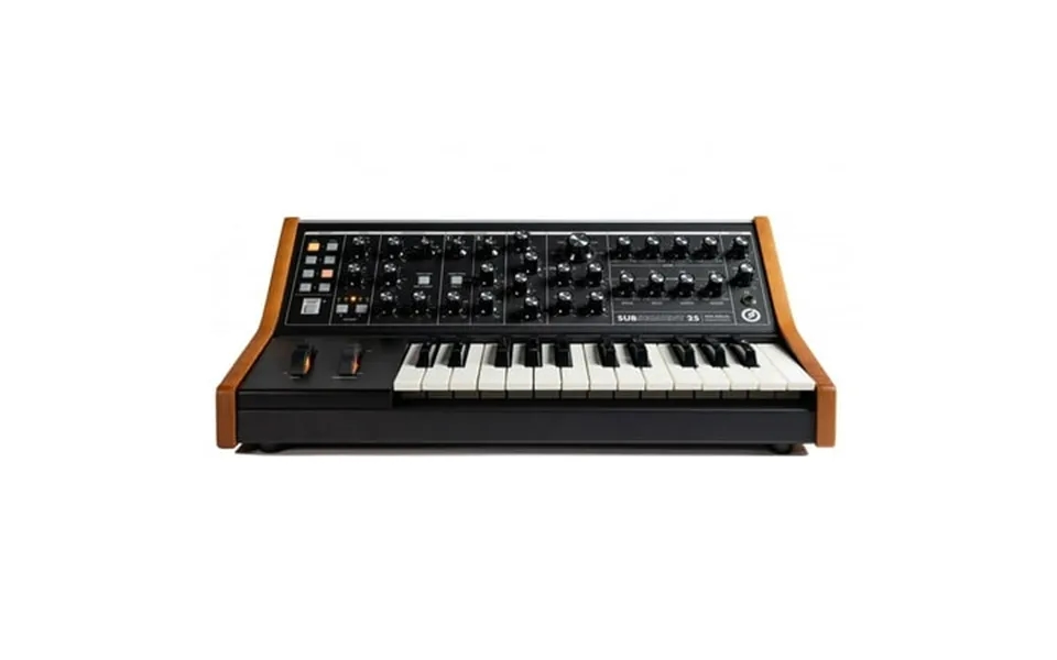 Subsequent 25 2-note 25-key Paraphonic Analog Synthesizer