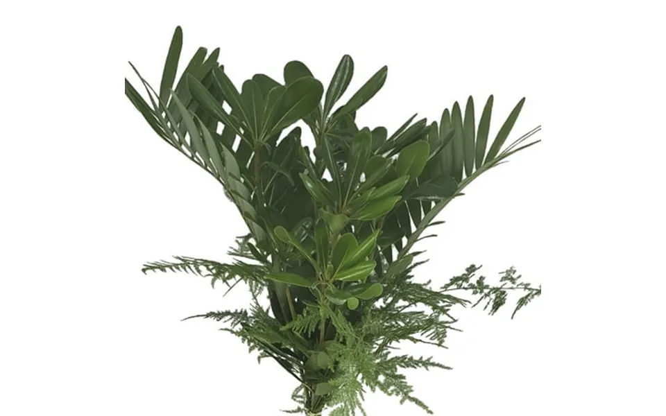 Sun Mixed Greens Bouquet 15 Pack Of Farm Direct Fresh Cut Flowers Bouquets Of Mixed Greenery By Bloomingmore