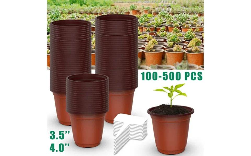 Sweet Chipotle Beef Jerky 1.5 Ounce Bags Pack Of 8 Bags - Chef Crafted Jerky Grass-fed Beef Gluten Free No Antibiotics N