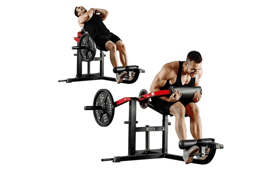 Syedee Seated Ab Curl Back Extension Machine Plate Loaded Machine With 450lbs Weight Capacity Home Gym For Core And Back