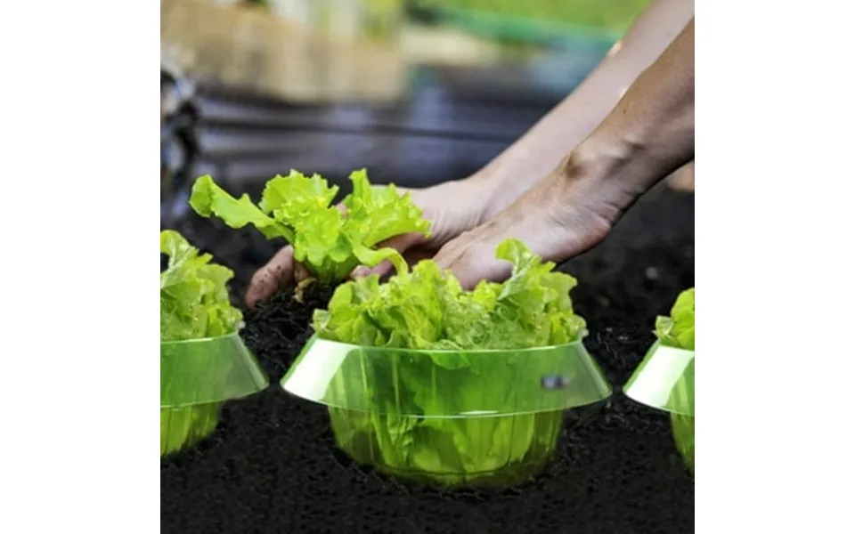 Taylonsss Vegetable Protective Cover Snail Block Circular Thickened Commercial Seed Protective Cover Beautiful Agricultu