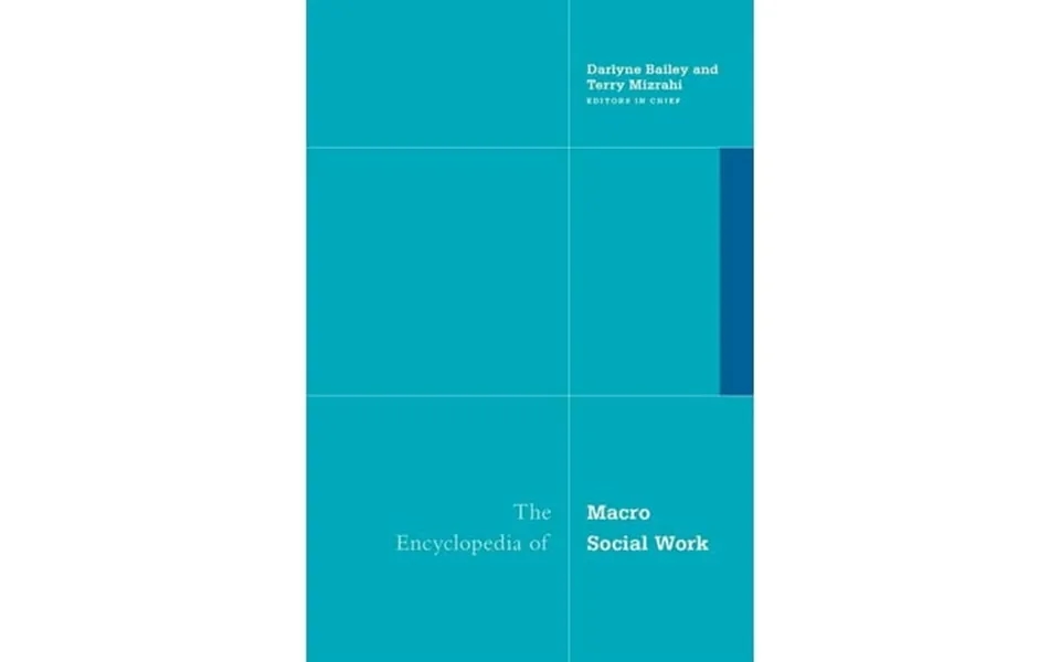 The Encyclopedia Of Macro Social Work Hardcover