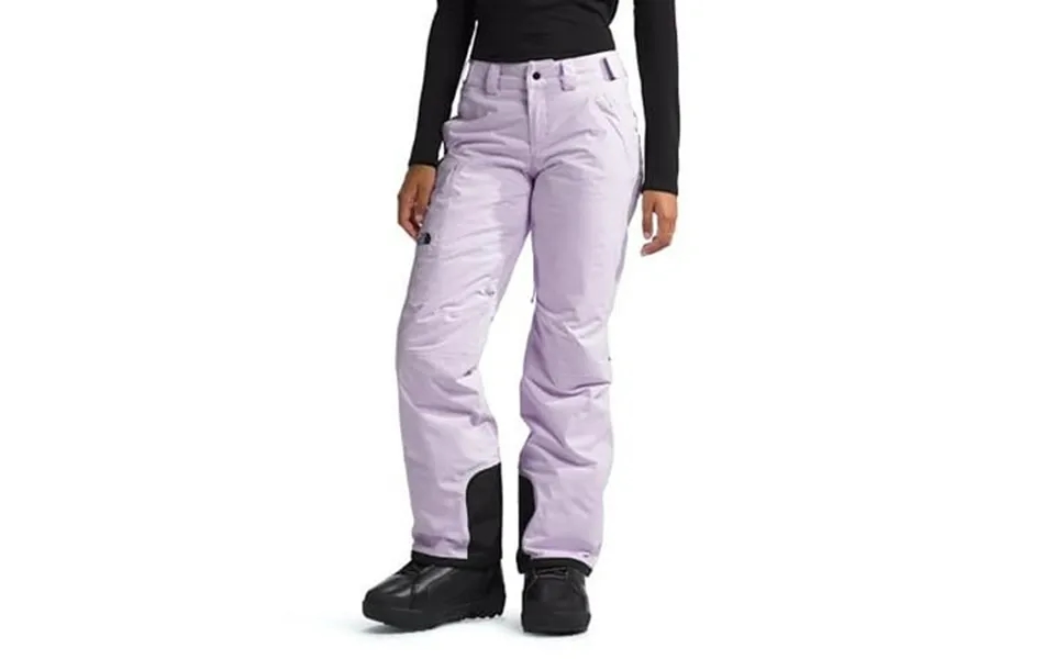 The North Face Women S Freedom Insulated Pant Standard And Plus Size Icy Lilac X-large Long