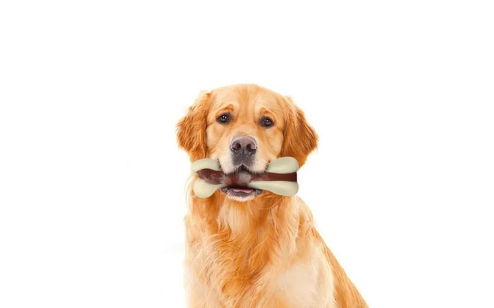 Tikaton Durable Dog Chew Toys Training Chewing Bone Shape Toys For Large Medium Small Dogs-m